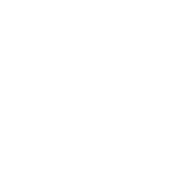 floodicon